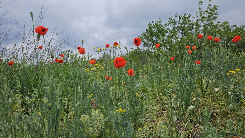 Доброе утро, Алчевск!. Встречаем среду, 14 мая
