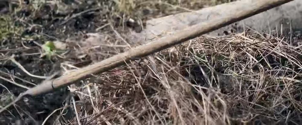 В связи с введение особого противопожарного режима отдел надзорной деятельности и профилактической работы по Троицкому району УНД и ПР Главного управления МЧС России по Луганской Народной Республике напоминает: