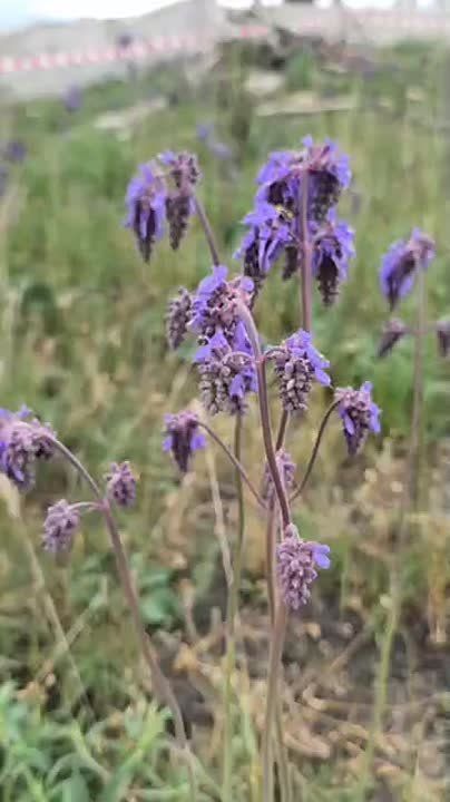 Евгений Морозов: Просто оставлю это здесь. Красиво же?!