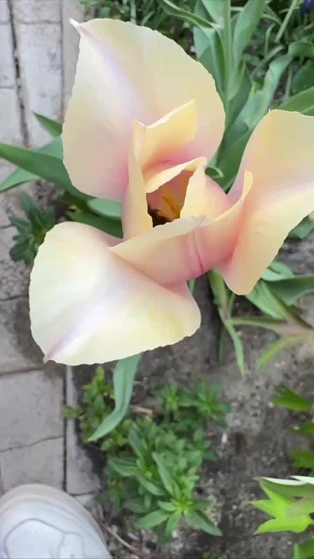 ��������� ������������ 16 ��� � ��� �� ���� 4 �������� ����� �� 24 �������� ����� ����, ������� ������� ��������������� ����� � ������