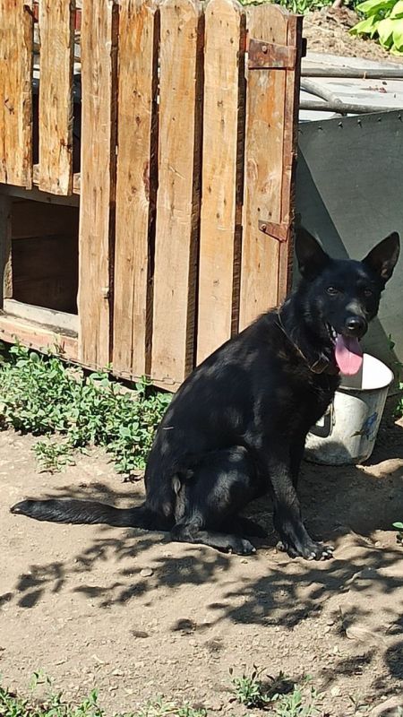 16 мая на территории Республики прогнозируется переменная облачность