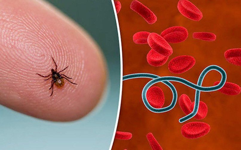 ТО Управления Роспотребнадзора по Луганской Народной Республике вг.г. Стаханов, Брянка, Кировск, Первомайск, Лисичанск и Попаснянском районе информирует: