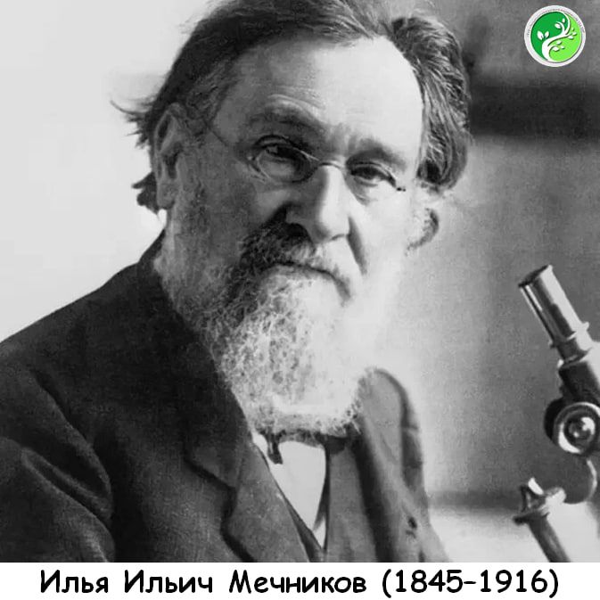 15 мая увидел свет великий учёный — Илья Ильич Мечников