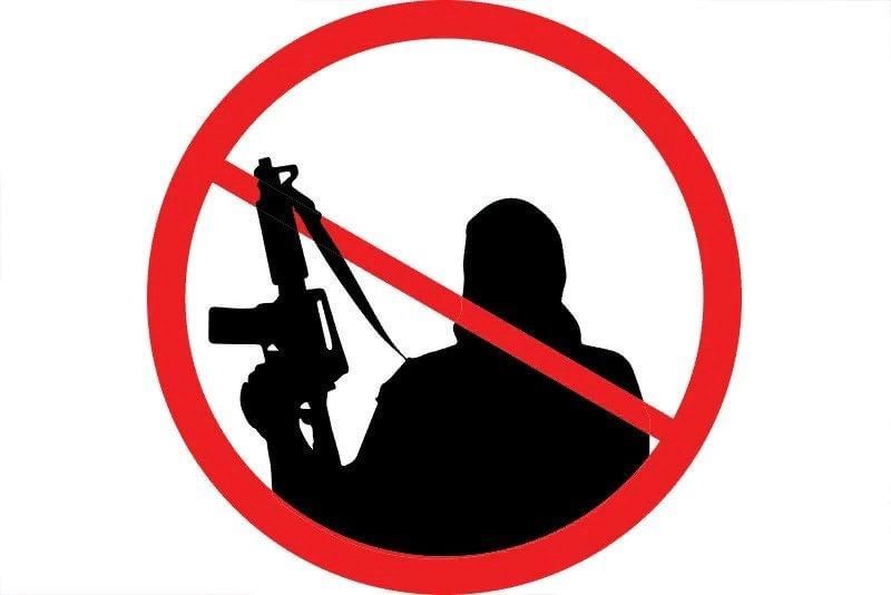 Противодействие экстремизму и терроризму