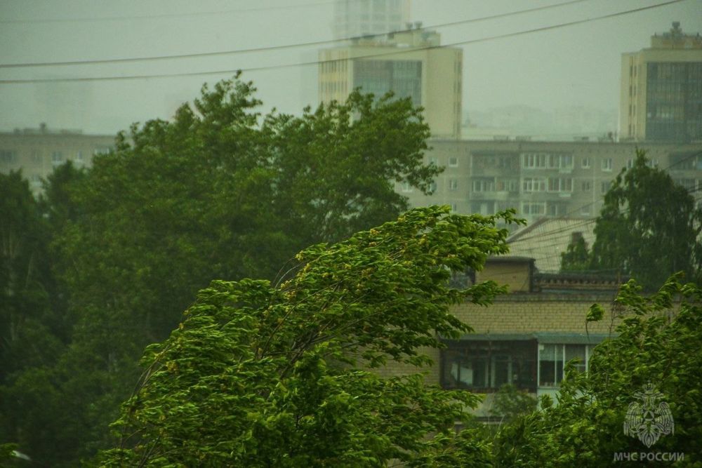 В связи с штормовым ветром и неблагоприятными погодными условиями (порывы 15-20 м/с) Главное управление МЧС России по Луганской Народной Республике настоятельно рекомендует соблюдать правила безопасности на улице: