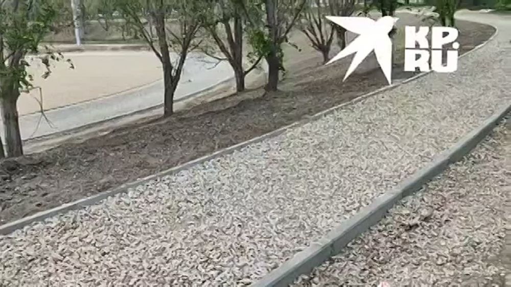������� �������. �� �������� ������������ ����� ���� ����������� ������� �������