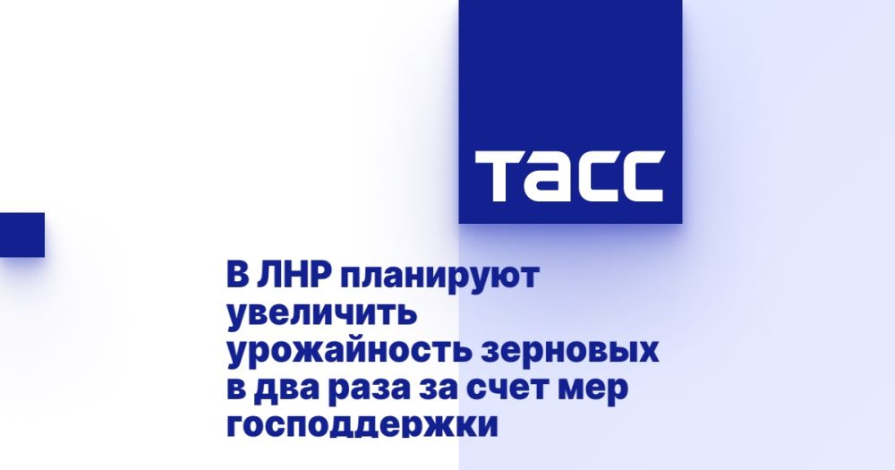 В ЛНР планируют увеличить урожайность зерновых в два раза за счет мер господдержки