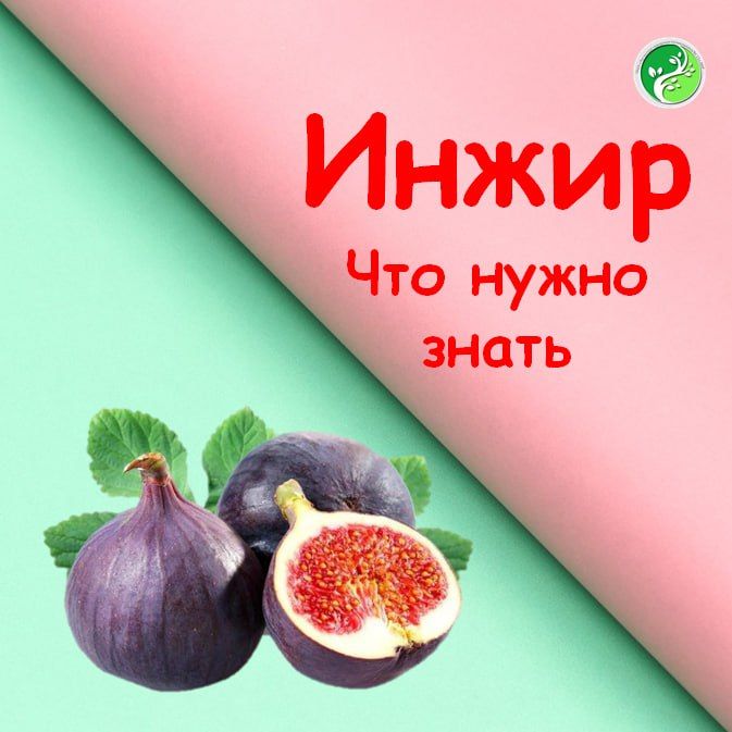 �� �����, ��� � ������� ������ ������������ ������� ���������� ���������� ������