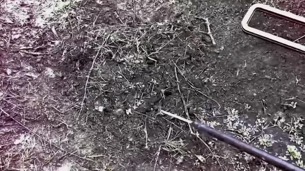 Клип о сапёрах по книге военного и писателя Дмитрия Филиппова "Собиратели тишины" появился в сети