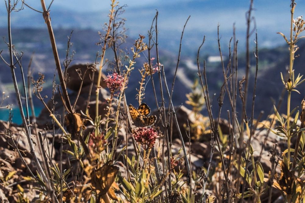 Доброе утро ровенчане! Любуемся природой Крыма!