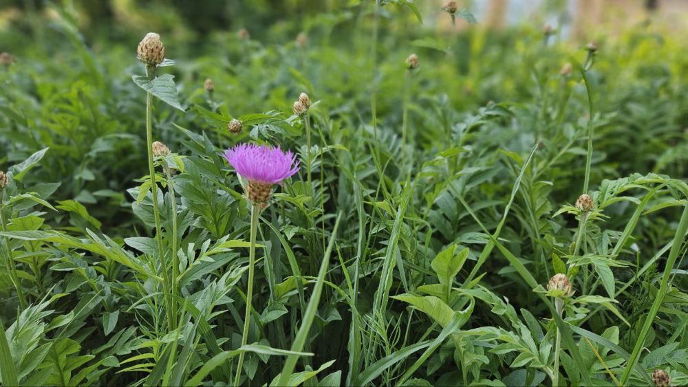 Доброе утро, Алчевск!. Новый ветренный майский день наступает