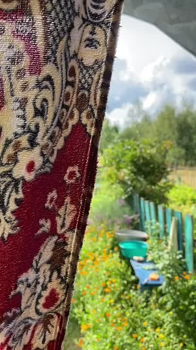 Как я скучаю по деревне,. Тоска в душе хоть волком вой