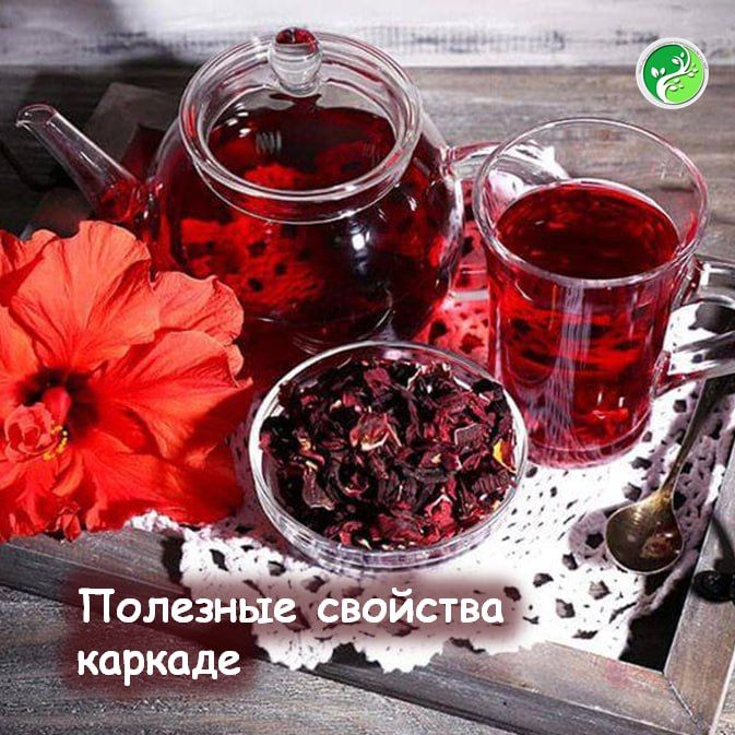 ������ � ��� ������ �� ������� ������ ���������, ������� ��������� �� ������ ������� ���� ��������� ����� ����� ������� ������� � ������ �����