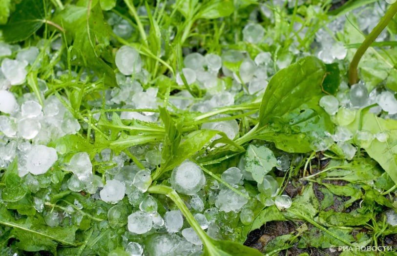 Погода на новых территориях России