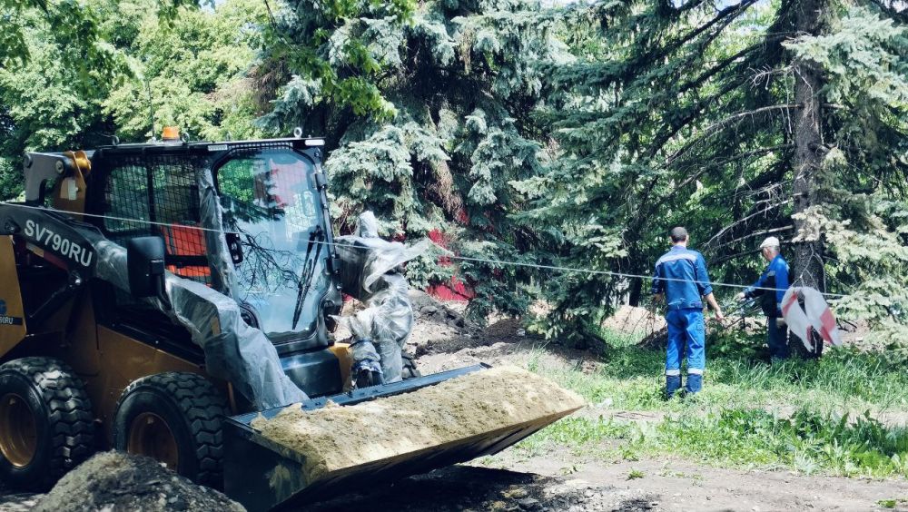 Реализация проекта «Каштановая аллея» в городе Ровеньки продолжается