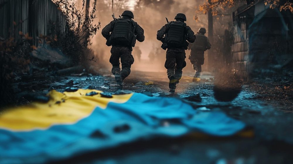 ������� ����������� ������ ������������ ���: �������� � �������� ��������� ����������