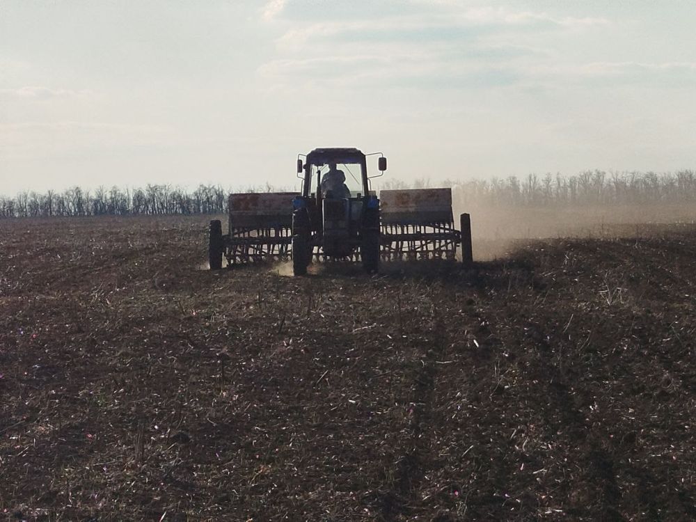 Андрей Рубанцов: В городском округе город Ровеньки продолжается посевная кампания яровых культур под урожай 2025 года