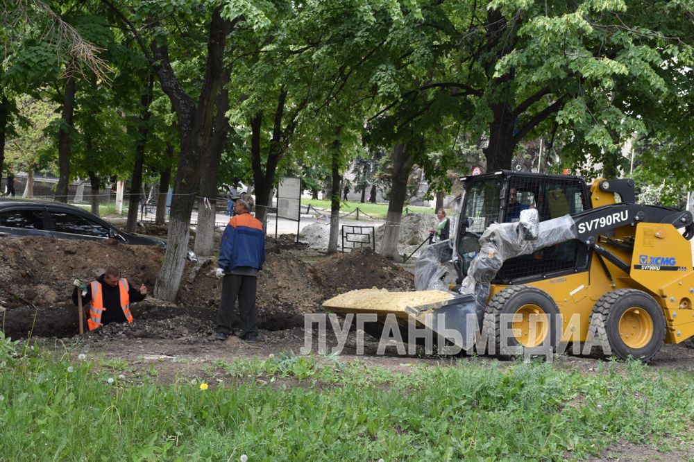 В Ровеньках продолжается реализация проекта «Каштановая аллея»