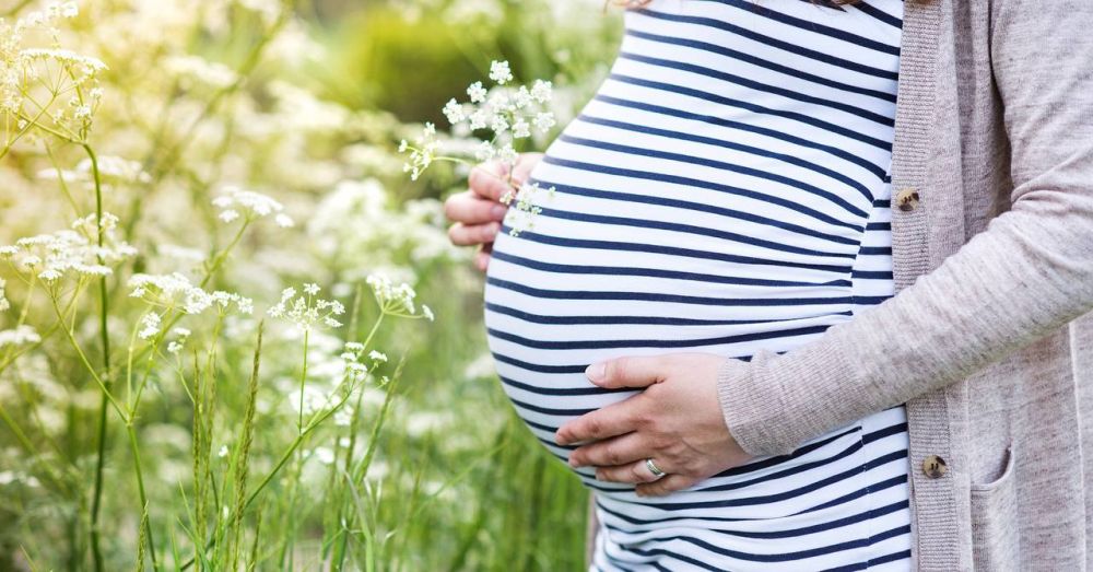 ���� �����: �������� �������� ��� ���������� ������: ����� ����� ���� �����