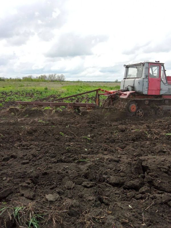 Андрей Рубанцов: Опашка населенных пунктов – необходимая мера пожарной безопасности!