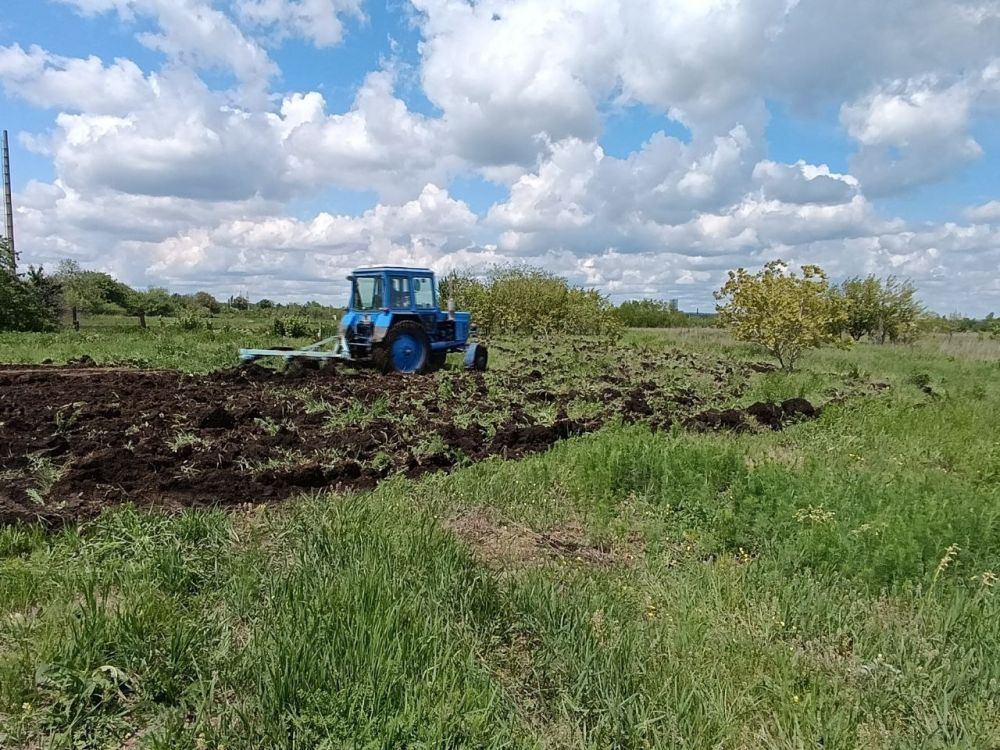 Андрей Рубанцов: Опашка территории – залог обеспечения пожарной безопасности