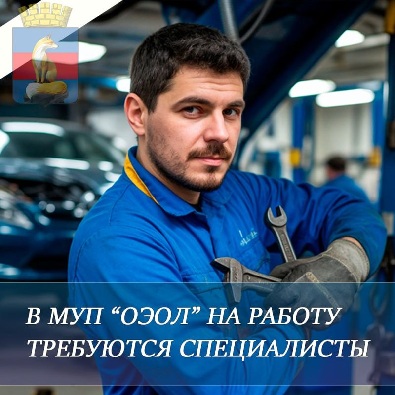 На постоянную работу требуются специалисты различных направлений: