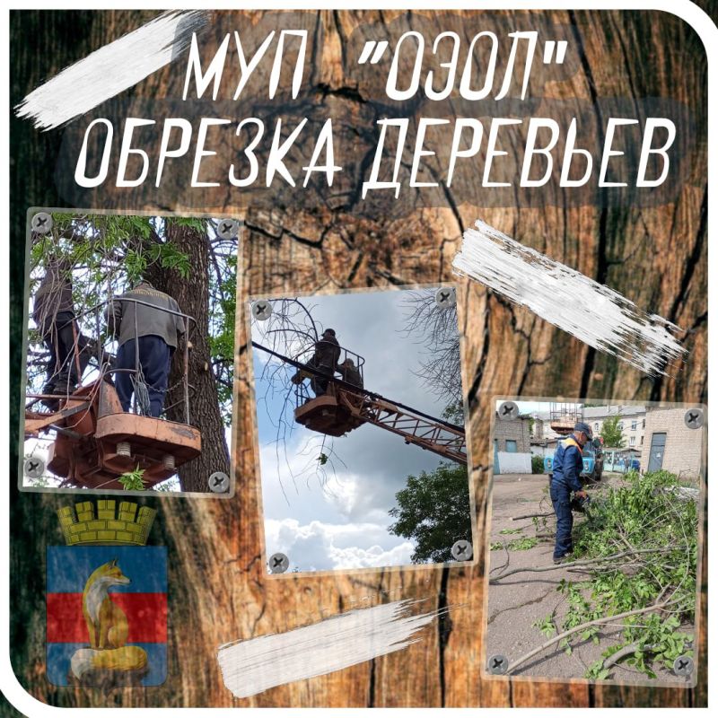 Обрезка деревьев производится силами сотрудников коммунальных служб города