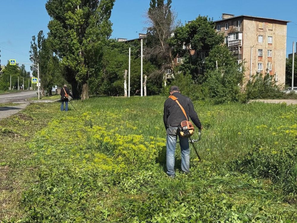 Сергей Колягин: Ранее озеленители МУП «Комбинат коммунальных услуг города Первомайска» начали работы по приведению в надлежащее состояние газонных зон у дороги, проходящей по улице Куйбышева