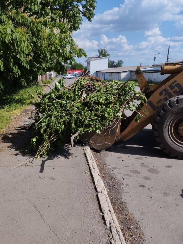 Андрей Рубанцов: Призываю граждан проявлять сознательность и не устраивать несанкционированные свалки на территории городского округа!!!