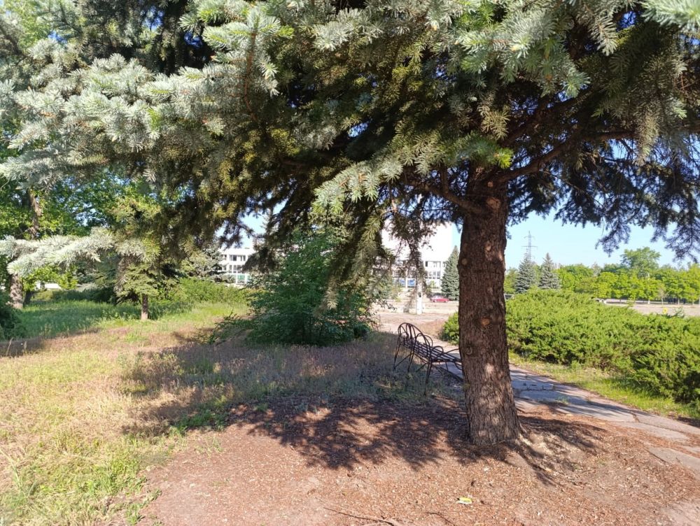 МУП «ДЭП города Рубежное» продолжает благоустройство в городе Рубежное