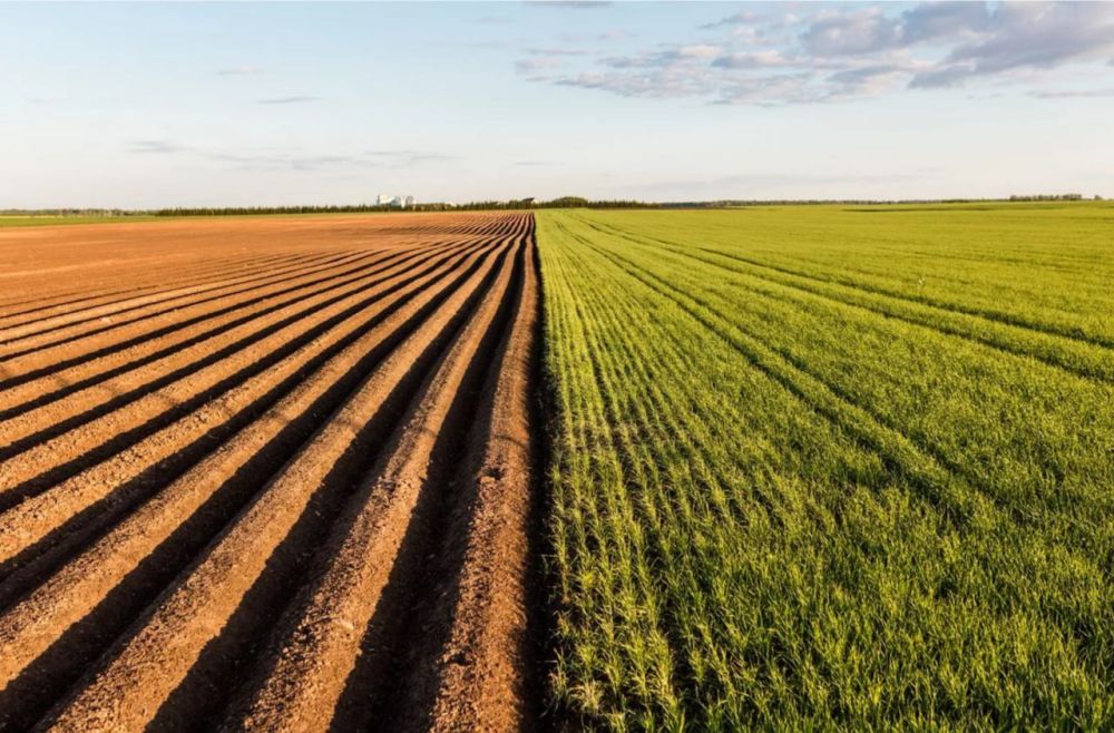 ��������� ������ ��������� �������� ��������� � ������ ����������� �����-����� � ��� ������ ��� ��� ���������� ����� �������� � ���������������� �������� ������