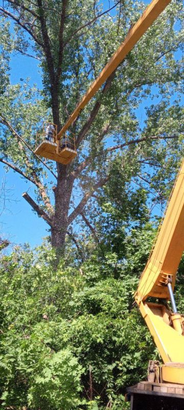 �������� ��������: ������������� � ��������. ������������ ����������� ���������� ������ ���������� ����� �����, � ����� ���� � ������� ��������� ��������