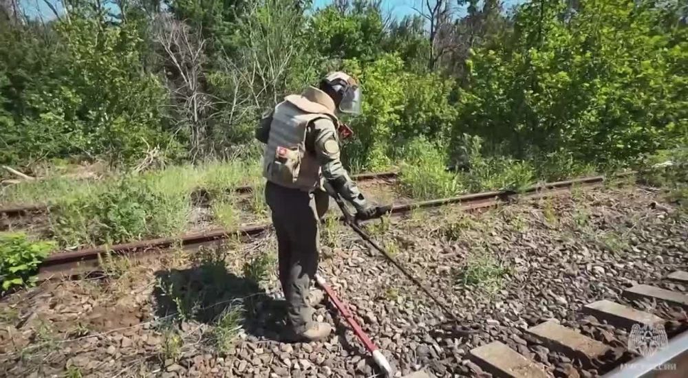 ������� ����� ������������ ��� ������ ���������� ������ �� 15 �� ���������� ���, ��������� ����� 230 ������������� ���������
