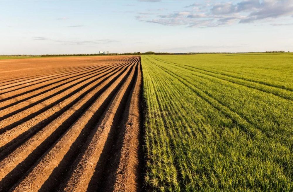 ����� ��� ������� � ������ ����������� ����-�����