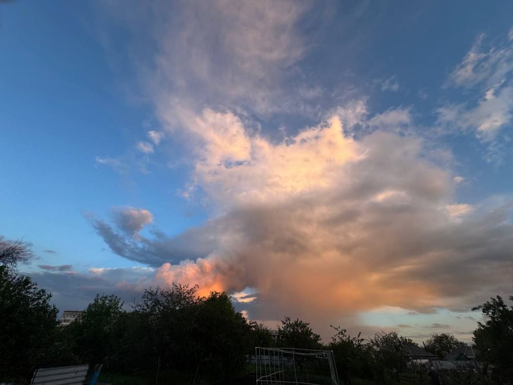 24 ��� ������������ ��������� �������� ���������� �������������� ���������� ����������