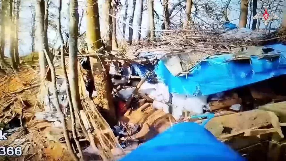 ��������� ���������� ������� ������������ �� ����� � ������� �������