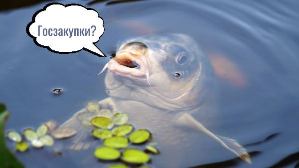 ������ "��� ���� � ����" ����������� �� ����� ��������� �� �����������?