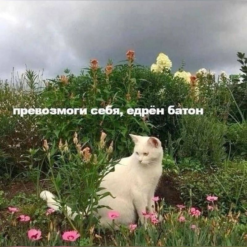 ������ �� ��� � ������������ ����� ����� ��������� �� 20 �����