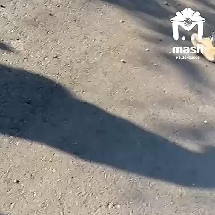 �������� ���������� ��� ������� ����� ������ � ��������