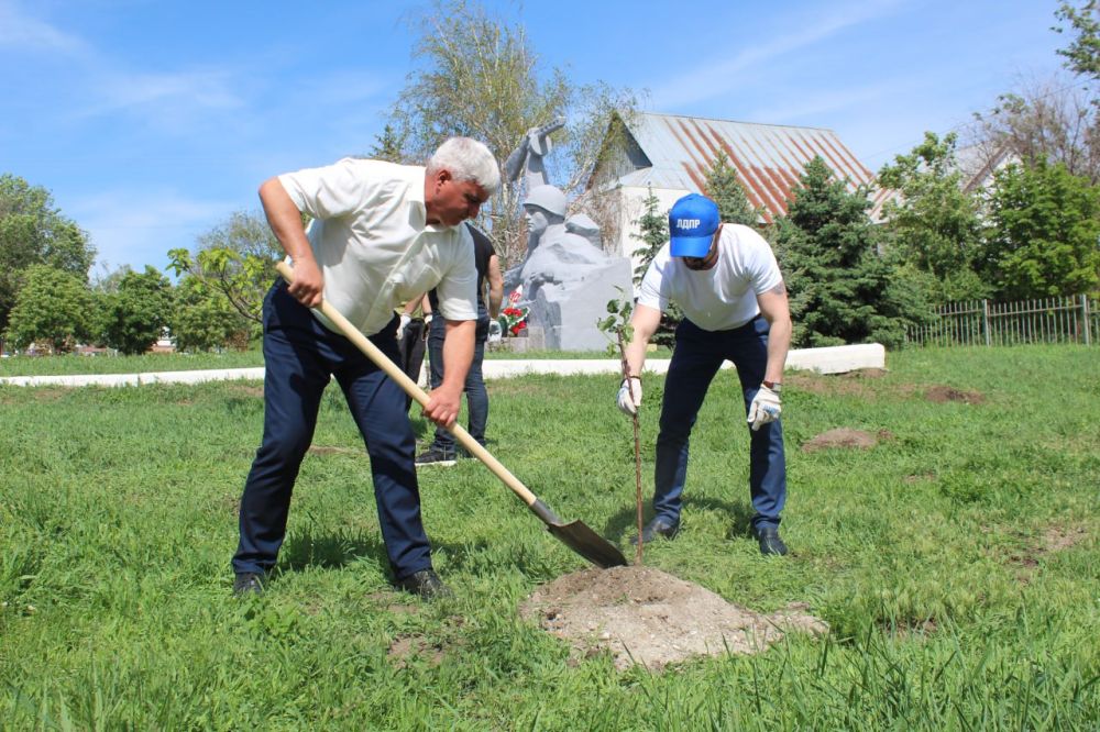 ������� ���������: ������� ��������� � ������������ ������������ ��������� ������ ���, ������������� ���������� ������������� ��������� ���� �������� ��������, ��������� ���������������� �������� ����������� �������...