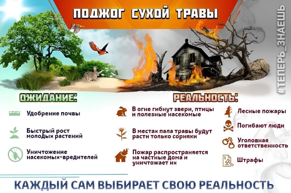 �������� ������: ������ ����� �����: �������� � ����������