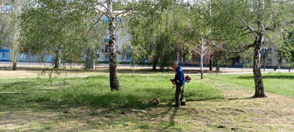 �������� ��������: ������������� � ��������. � �������� ������������ ����� ����� � ������ ����������