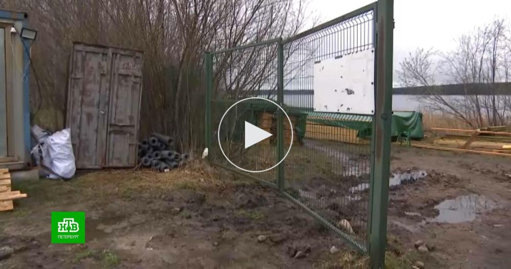 Репортаж НТВ помог спасти берег Суходольского озера от застройки