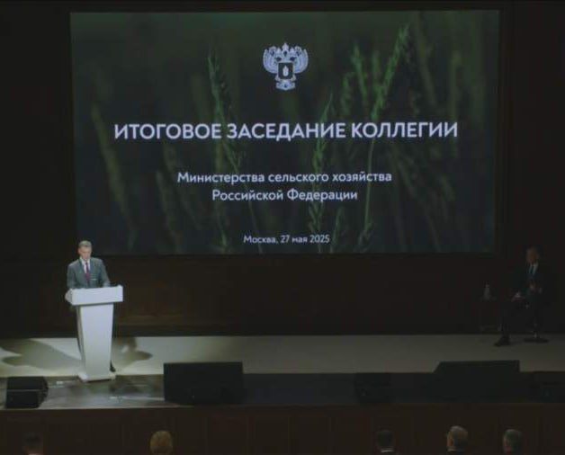 ������� ��������: 682 ���� ������ ���������� �� �������� ��� � 2024 ����