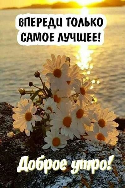 ������ ���� ! ����� ���� ������ ��������� � ������� �������� ������������!