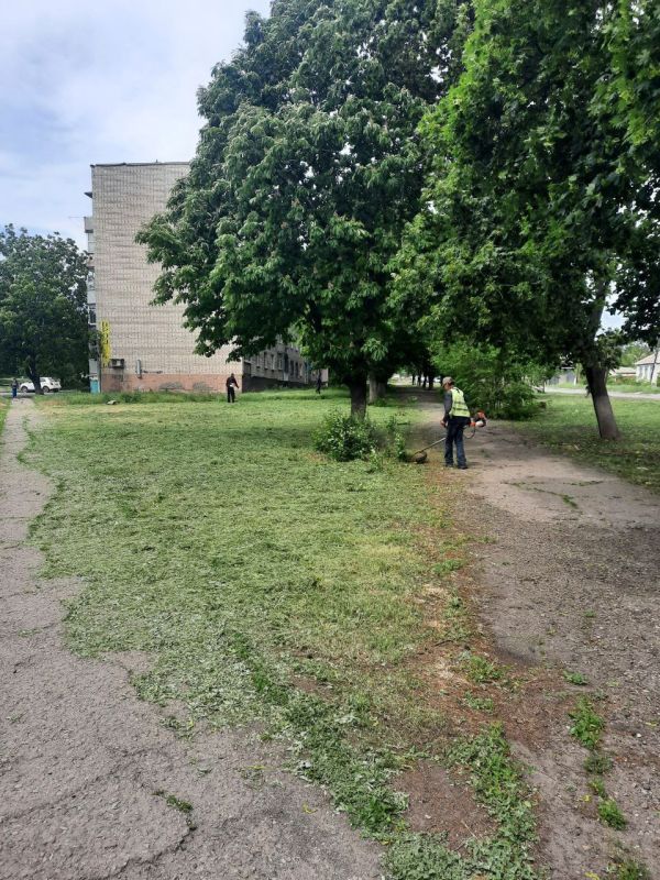 Андрей Рубанцов: Покос травы на территории городского округа держу постоянно на личном контроле