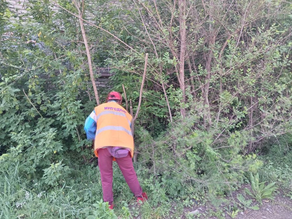 ������ ������ � ������������ ������