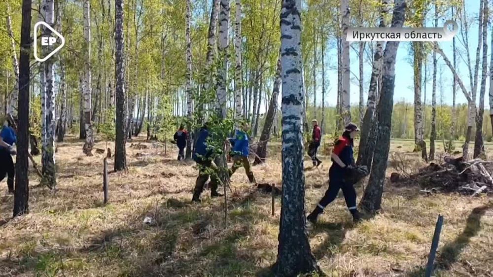 ��������� ������ ������ ���������� 60 �������� ���� � ��������� �������