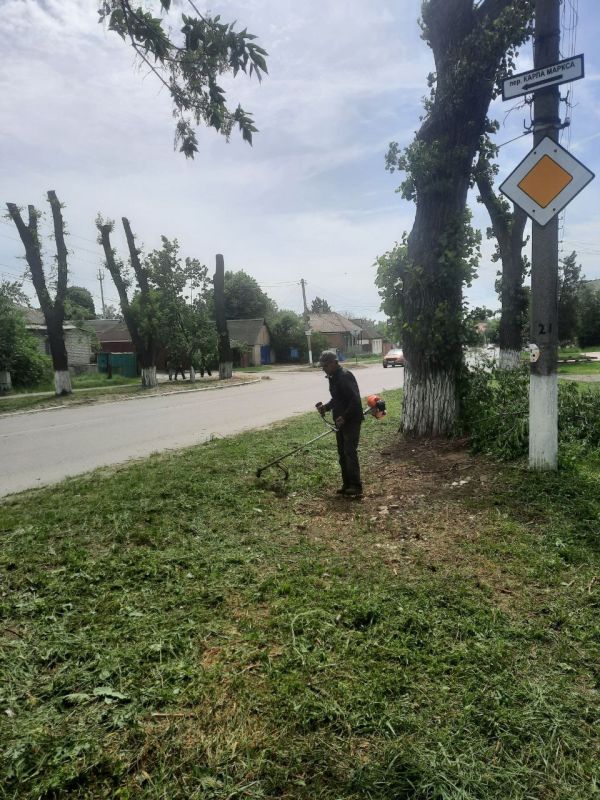 Андрей Рубанцов: Работниками МУП «СКАТ» проводятся работы по покосу сорных трав механизированным способом