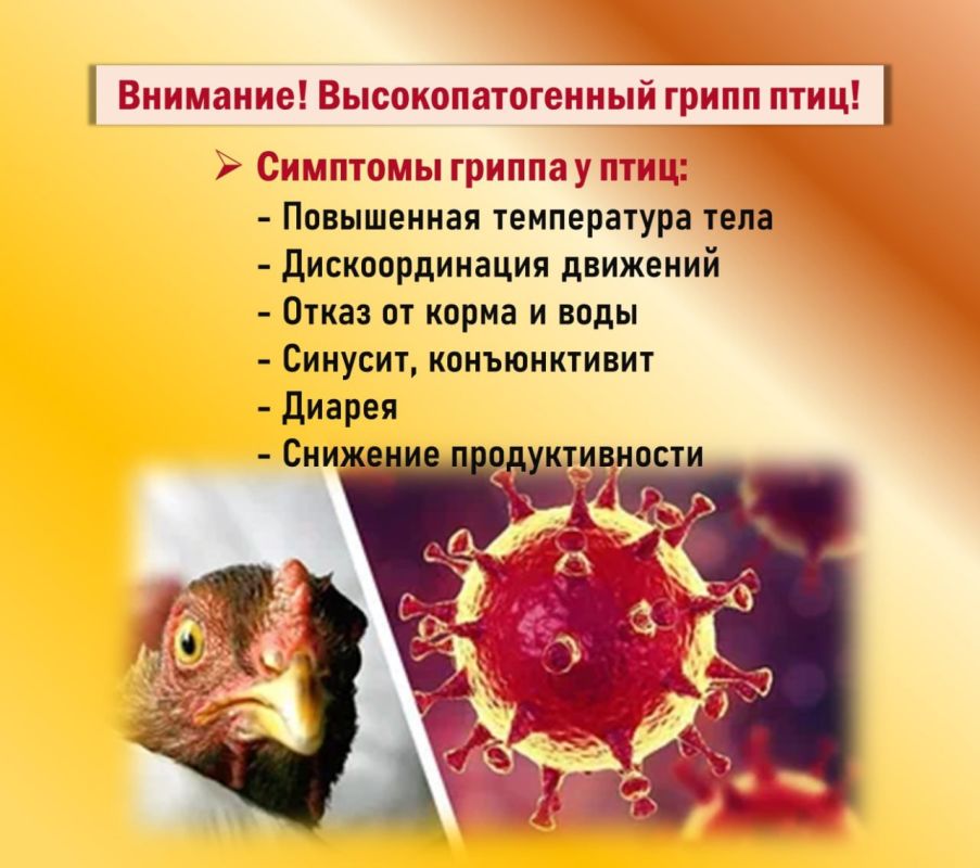 ��������! ���������������� ����� ���� (���)